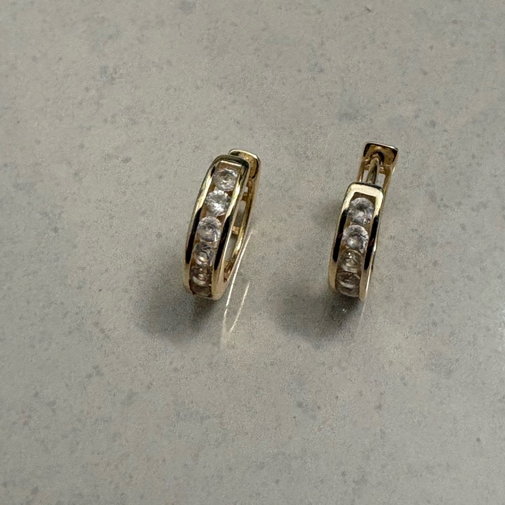 Small Elegant Hoop Earrings
